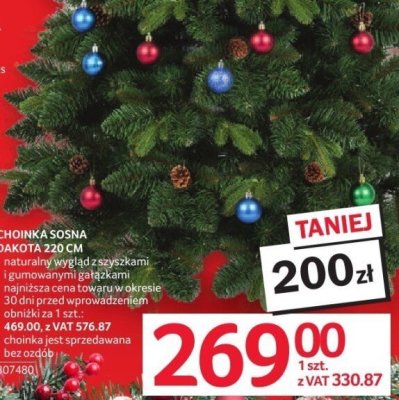 Choinka sosna Dakota 220 cm promocja w Selgros