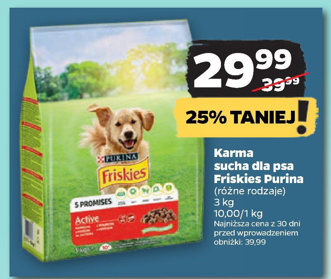 Karma dla psa active Friskies vitafit Purina friskies promocja