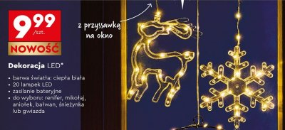 Dekoracja LED, różne rodzaje promocja w Biedronka