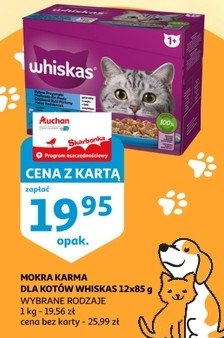 Karma dla kota rybne przysmaki Whiskas promocja