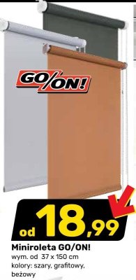 Miniroleta GO/ON! promocja w Bricomarche