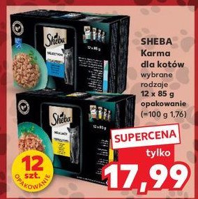 Karma dla kota z łosośiem Sheba selection in sauce promocja w Kaufland