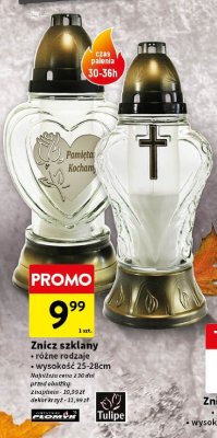 Znicz szklany różne rodzaje 25-28 cm Tulipe promocja w Intermarche