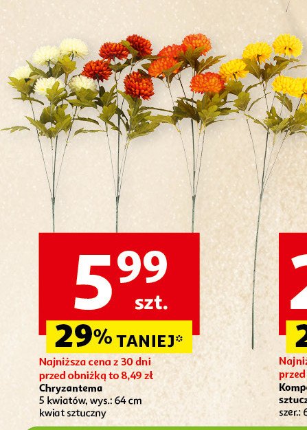 Chryzantema 64 cm promocja