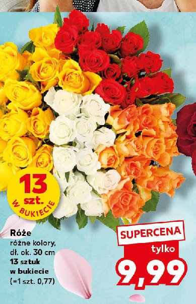 Róże 30 cm promocja w Kaufland