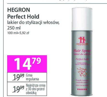 Lakier do włosów perfect hold Hegron promocja