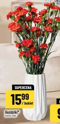 Gazetka, strona 14 promocja w POLOmarket