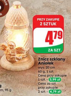 Znicz promocja w Dino