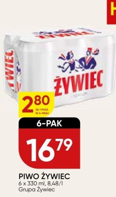 Piwo Żywiec 6-pak promocja w Chata Polska