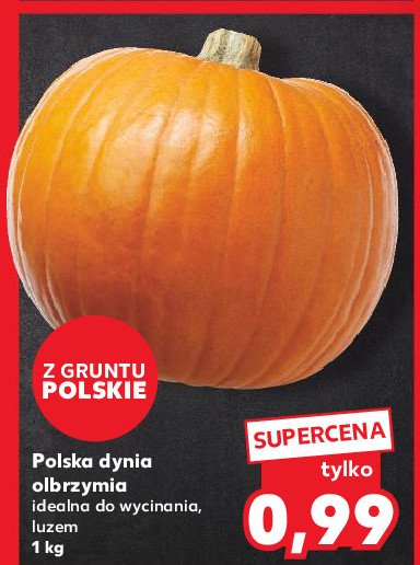 Dynia olbrzymia promocja