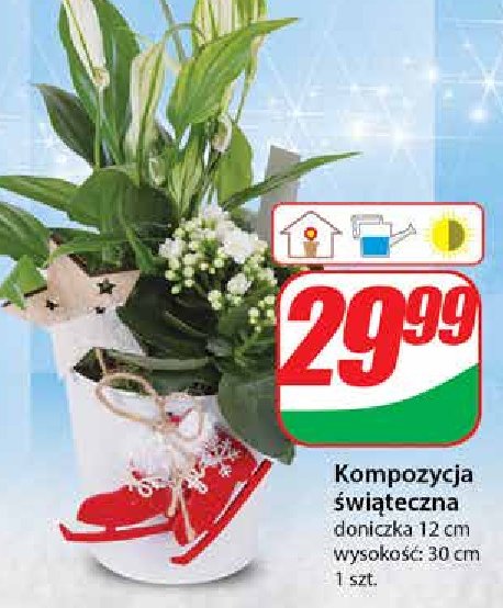 Kompozycja świąteczna promocja