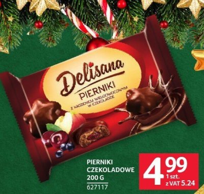 Pierniki czekoladowe DELISANA 200 g promocja w Selgros