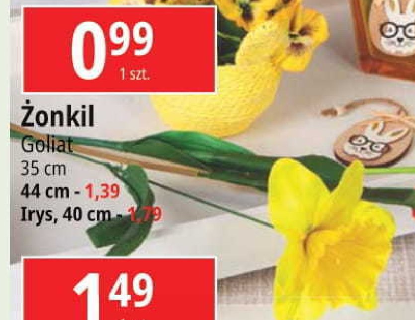 呕onkil 44 cm Goliat promocja
