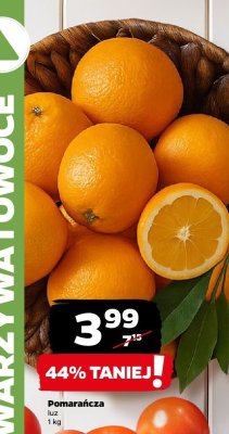 Pomarańcza luz promocja w Netto
