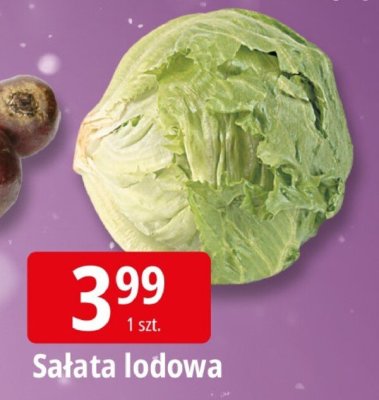 Sałata lodowa promocja w Leclerc