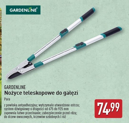 Nożyce teleskopowe do gałęzi promocja w Aldi