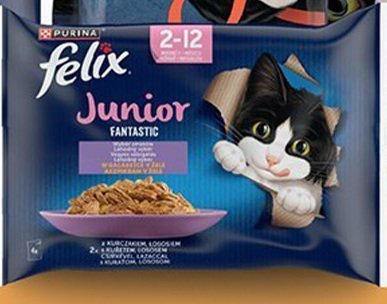 Karma dla kota Junior Fantastic promocja w Biedronka