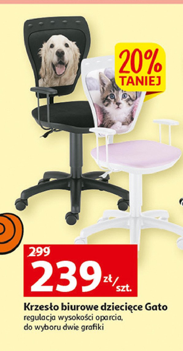 Krzesło gato foto wzór kotek promocja