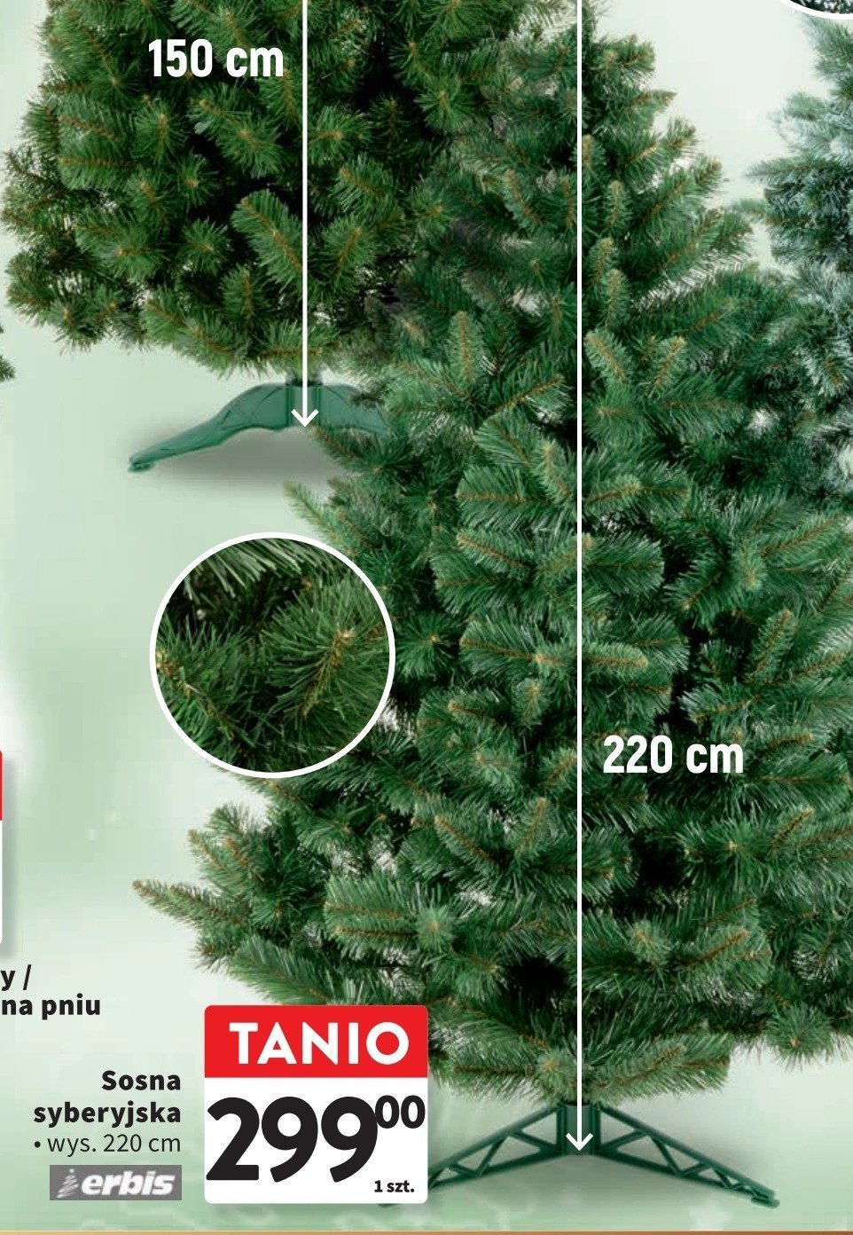 Choinka sosna syberyjska 220 cm ERBIS promocja