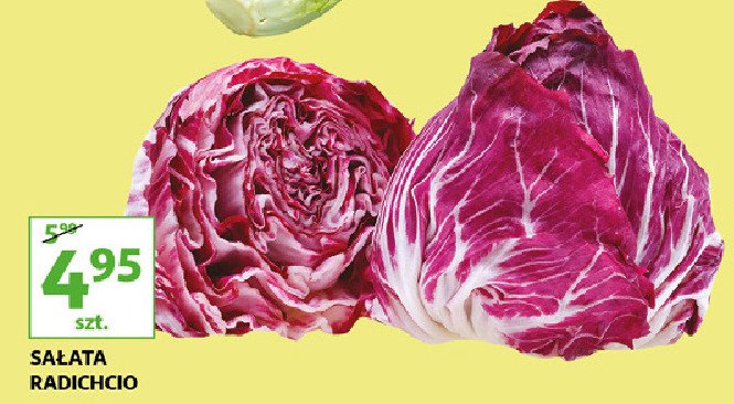 Sa艂ata czerwona radicchio promocja