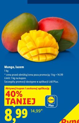 Mango luzem promocja w Lidl