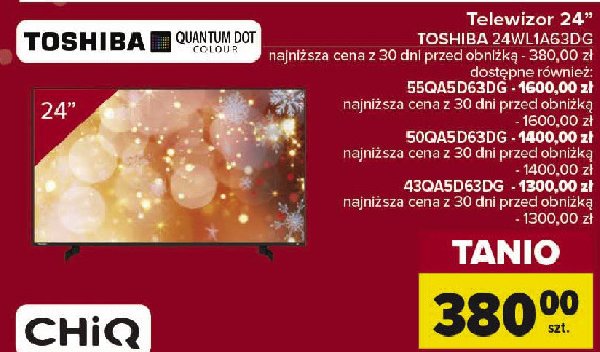 Telewizor 24" 24wl1a63dg Toshiba promocja