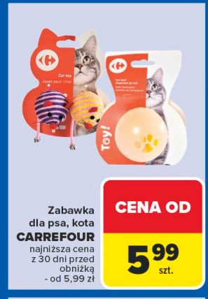 Zabawka dla psa Carrefour promocja