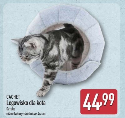 Legowisko promocja w Aldi