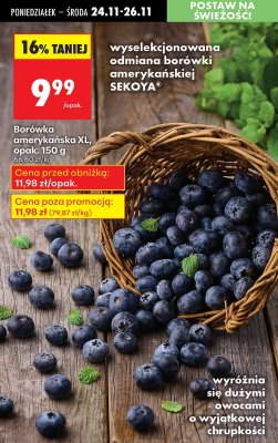Borówka amerykańska XL, opak. 150 g SEKOYA promocja w Biedronka