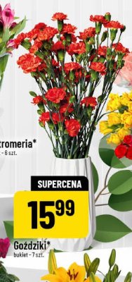 Goździki bukiet  promocja w POLOmarket