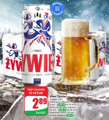 Piwo Żywiec puszka 0,5l promocja w Dino