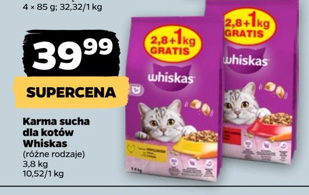 Karma dla kota pasztet z wołowiną Whiskas promocja w Netto