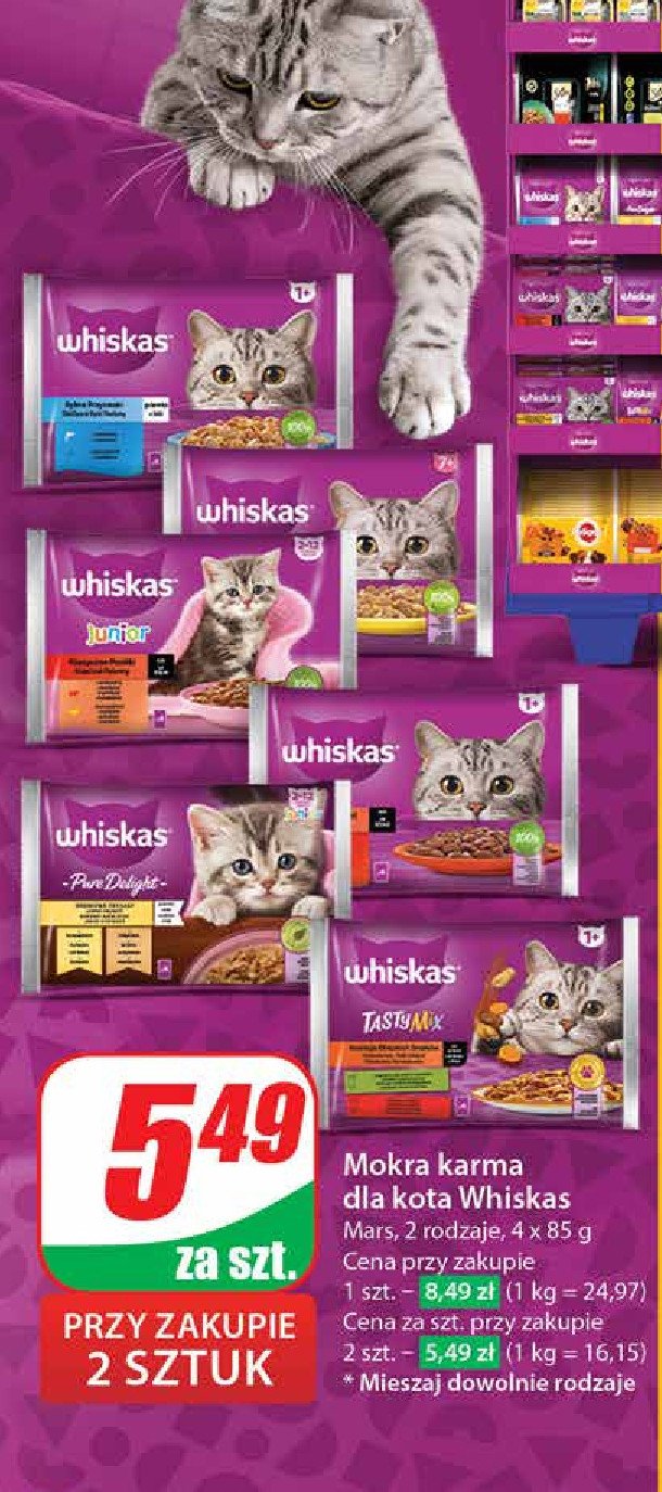 Potrawy tradycyjne w galarecie Whiskas junior promocja w Dino