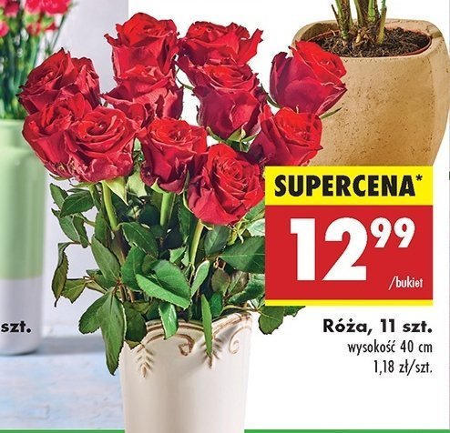 Róże bukiet 11 szt promocja