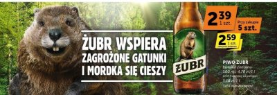 Piwo Żubr promocja w Euro Sklep