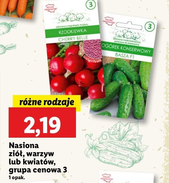 Nasiona rzodkiewka promocja w Lidl