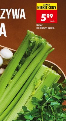 Seler naciowy promocja w Biedronka