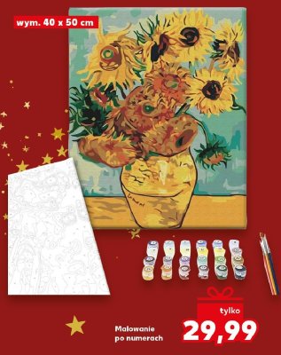 Malowanie po numerach 40x50 cm promocja w Kaufland