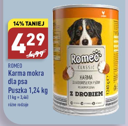 Karma dla psa z drobiem Romeo (karma) promocje