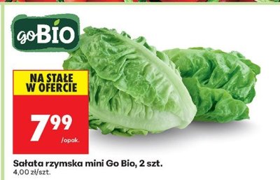 Sałata rzymska mini promocja w Biedronka
