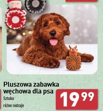 Zabawka pluszowa węchowa dla psa promocja