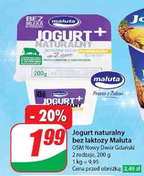 Jogurt naturalny bez laktozy Maluta promocja