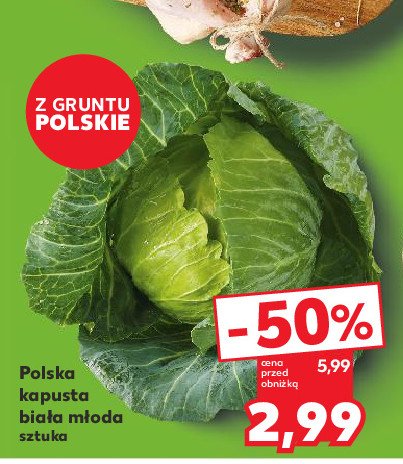 Kapusta biała polska promocja w Kaufland