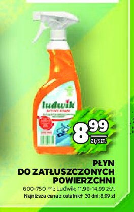 Płyn do mycia zatłuszczonych powierzchni exotic fruits Ludwik promocja