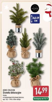 Drzewko dekoracyjne HOME CREATION promocja w Aldi