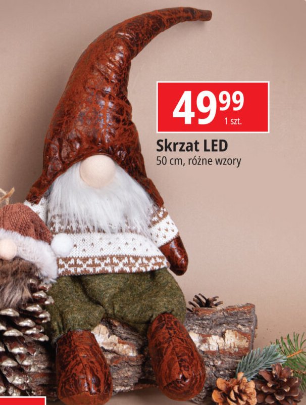 Skrzat led promocja