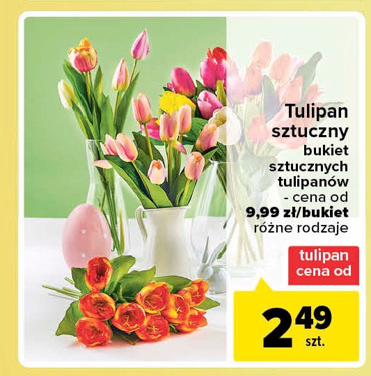 Tulipan promocje
