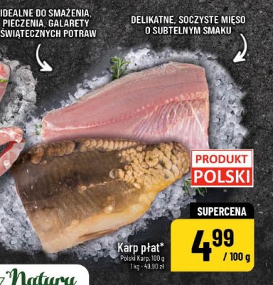 Karp płat promocja w POLOmarket
