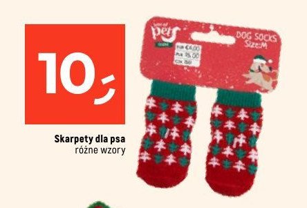 Skarpetki dla psa promocja w Dealz