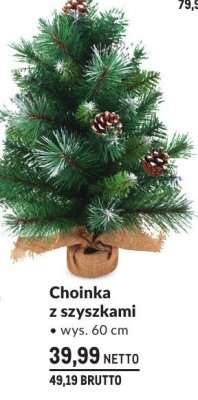 Choinka z szyszkami wys. 60 cm promocja w Makro